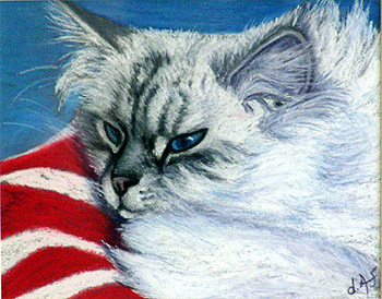 Fine Art Pet Portrait by Artist Donna Aldrich-Fontaine - Josie Cat.jpg